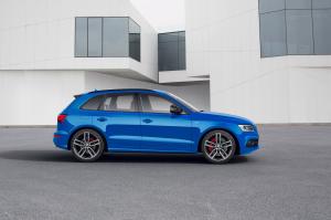 Audi SQ5 TDI Plus 2015 года  (WW)